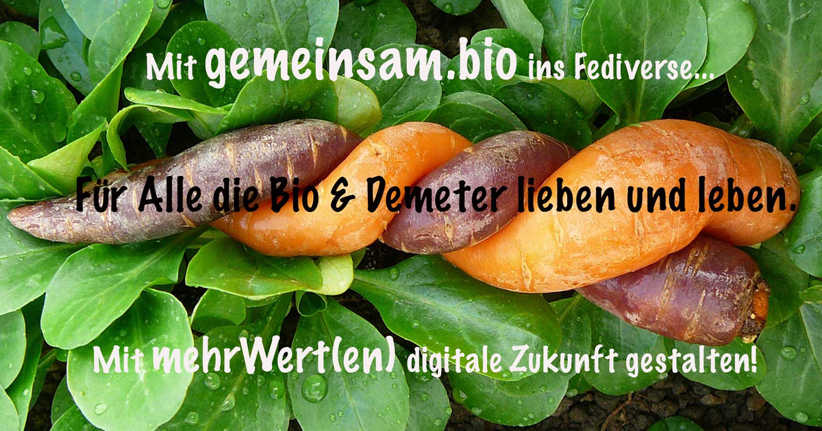 gemeinsam.bio